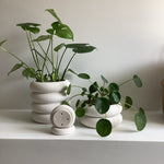 Pottery & Planters