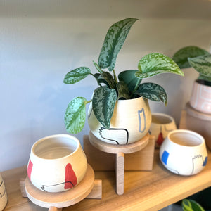 Echeri Ceramics Planter w/ Silver Pothos