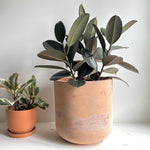 Terracotta Bell Pot 12"