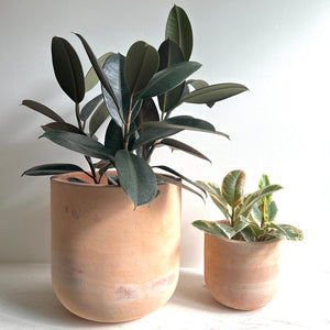 Terracotta Bell Pot 9"x8"