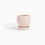 Bollé Ceramic Planter 4.25"- White Sesame