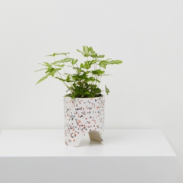Small Archie - White Terrazzo
