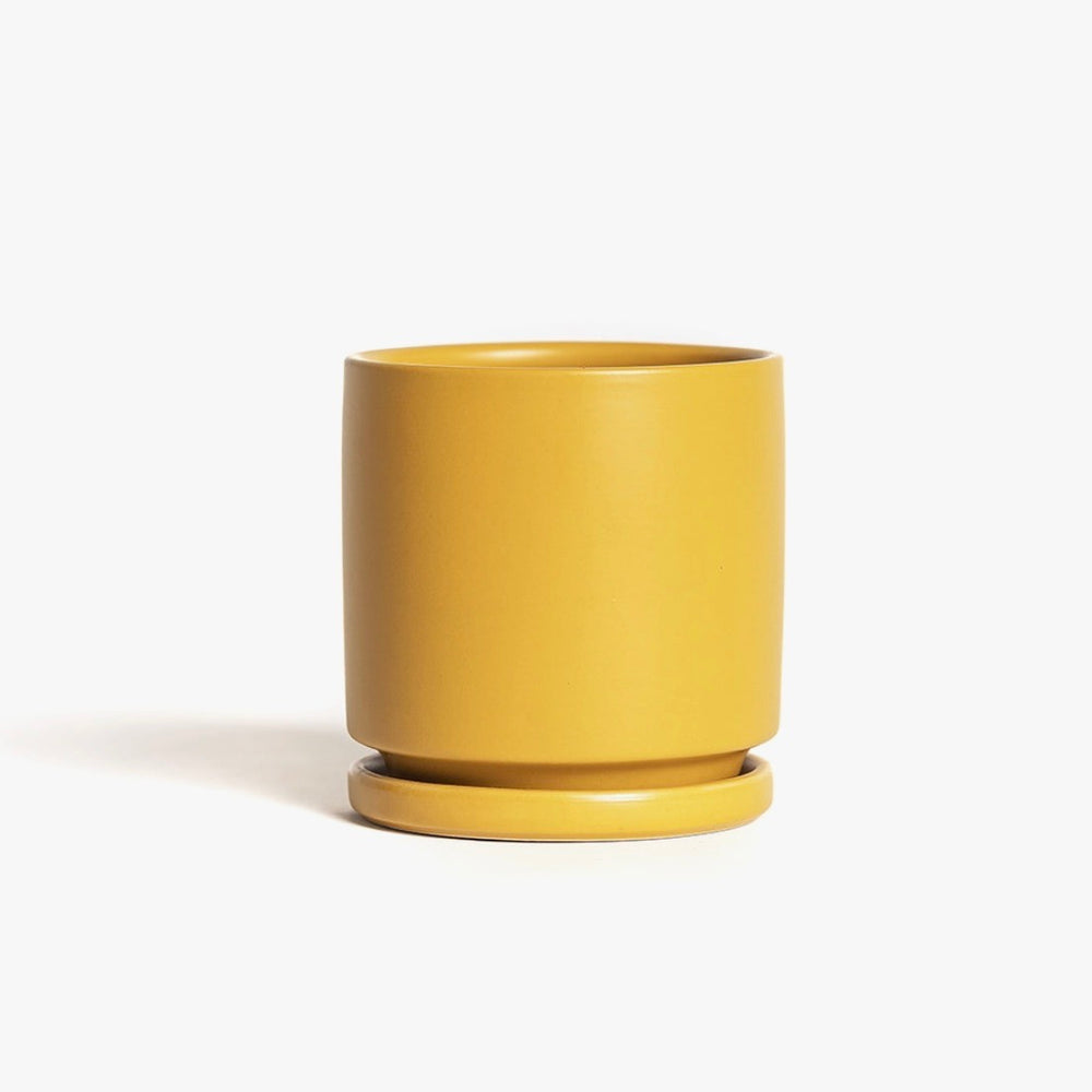 Mustard Cylinder Pot
