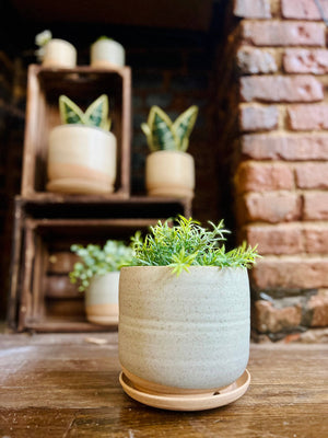 Handmade Ceramic Planter with Saucer – Wide Bottom: Speckled sand / Medium