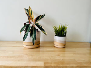 Handmade Ceramic Planter with Saucer – Wide Bottom: Speckled sand / Medium