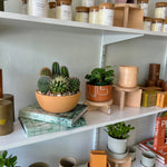 Cactus Garden in Mexican Terracotta Bowl