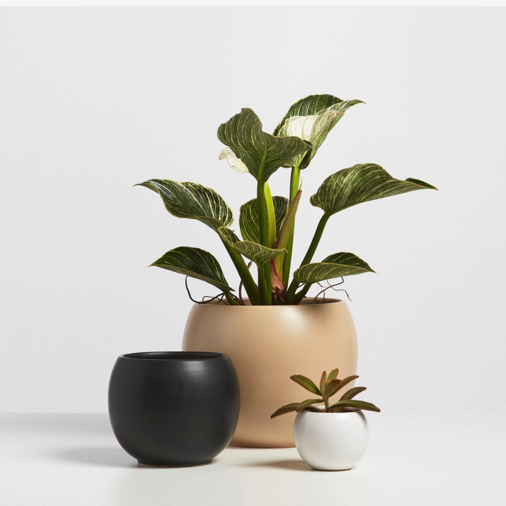 Ceramic Sphere Planter Tan