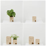 Small Archie Planter - Fossil