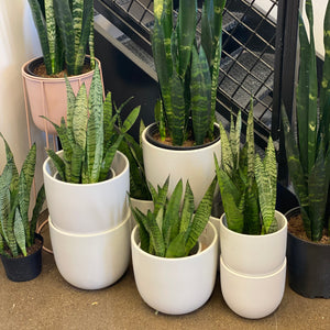 Peach & Pebble Ceramic Pots