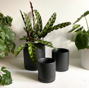 Romey Cylinder Pot