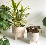 Speckle Glaze Footed Pot