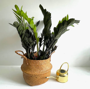 Seagrass Basket