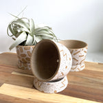 Bud & Bowl Pedestal Planter