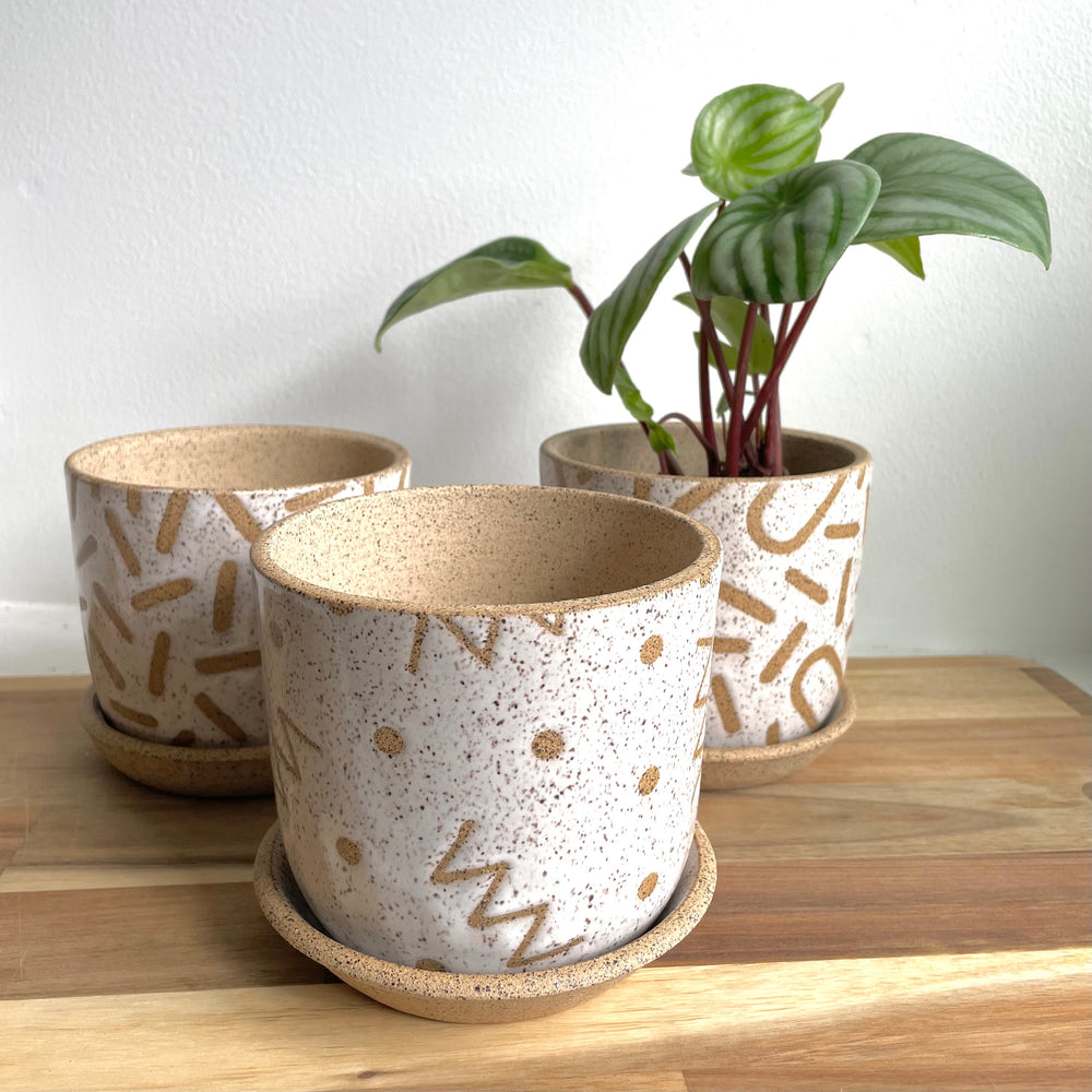 Bud & Bowl Planter