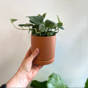 Romey Cylinder Pot