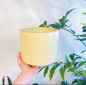 decluttered ceramic planter