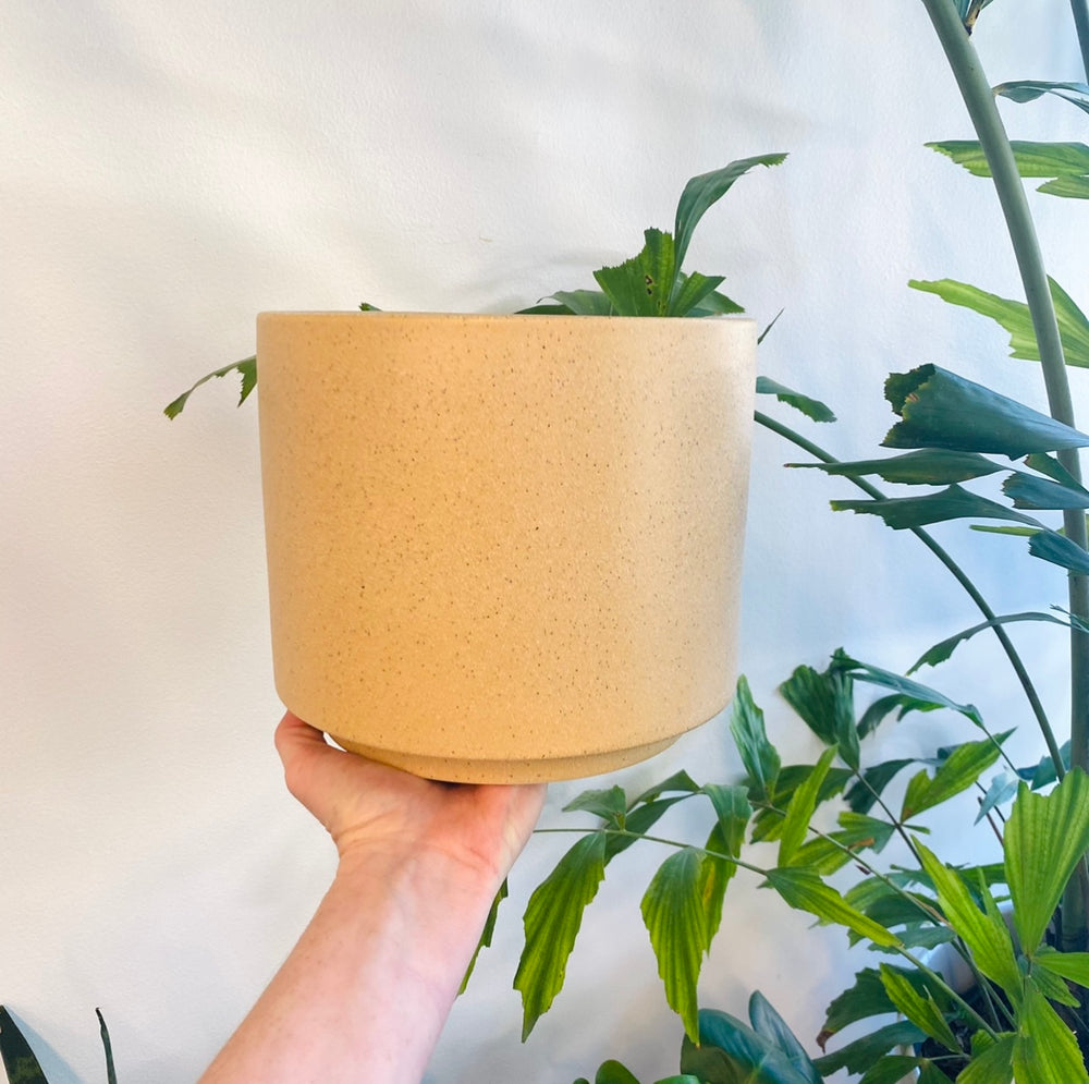 decluttered ceramic planter