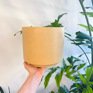 decluttered ceramic planter