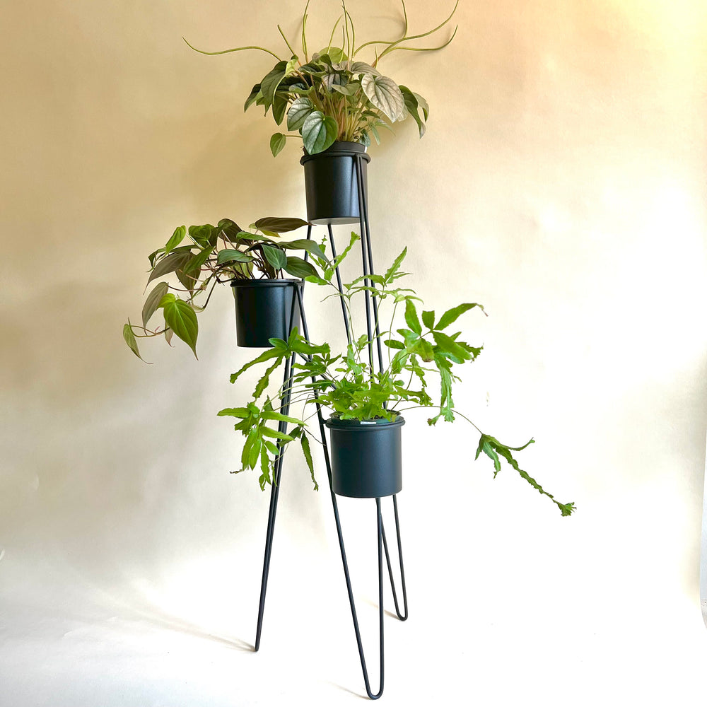 Black Plant Stand