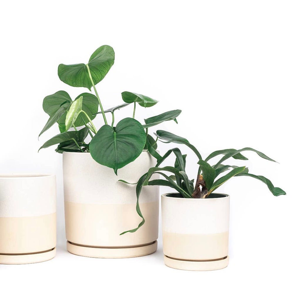 Half White/Half Tan Cylinder Pot
