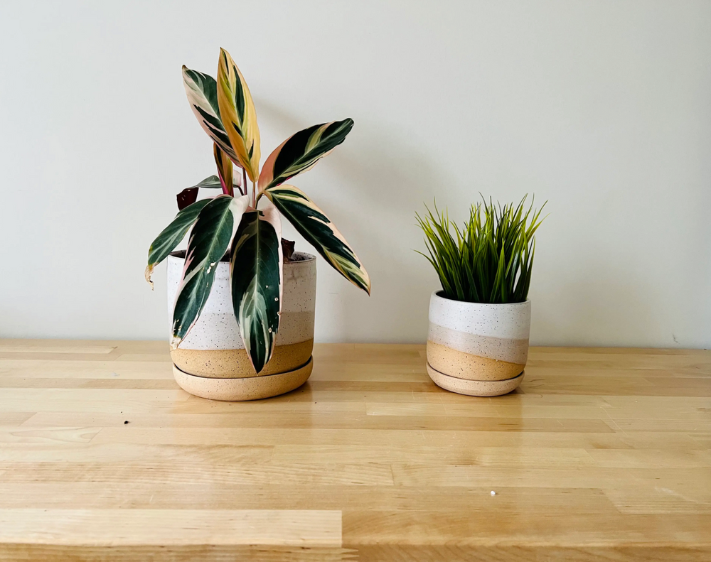 Hands on Ceramics Planter