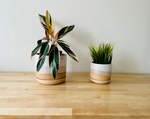 Hands on Ceramics Planter