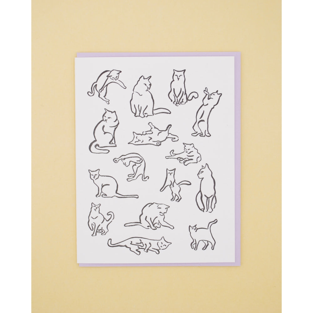 Cattern Card