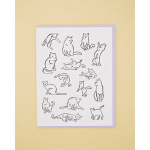 Cattern Card